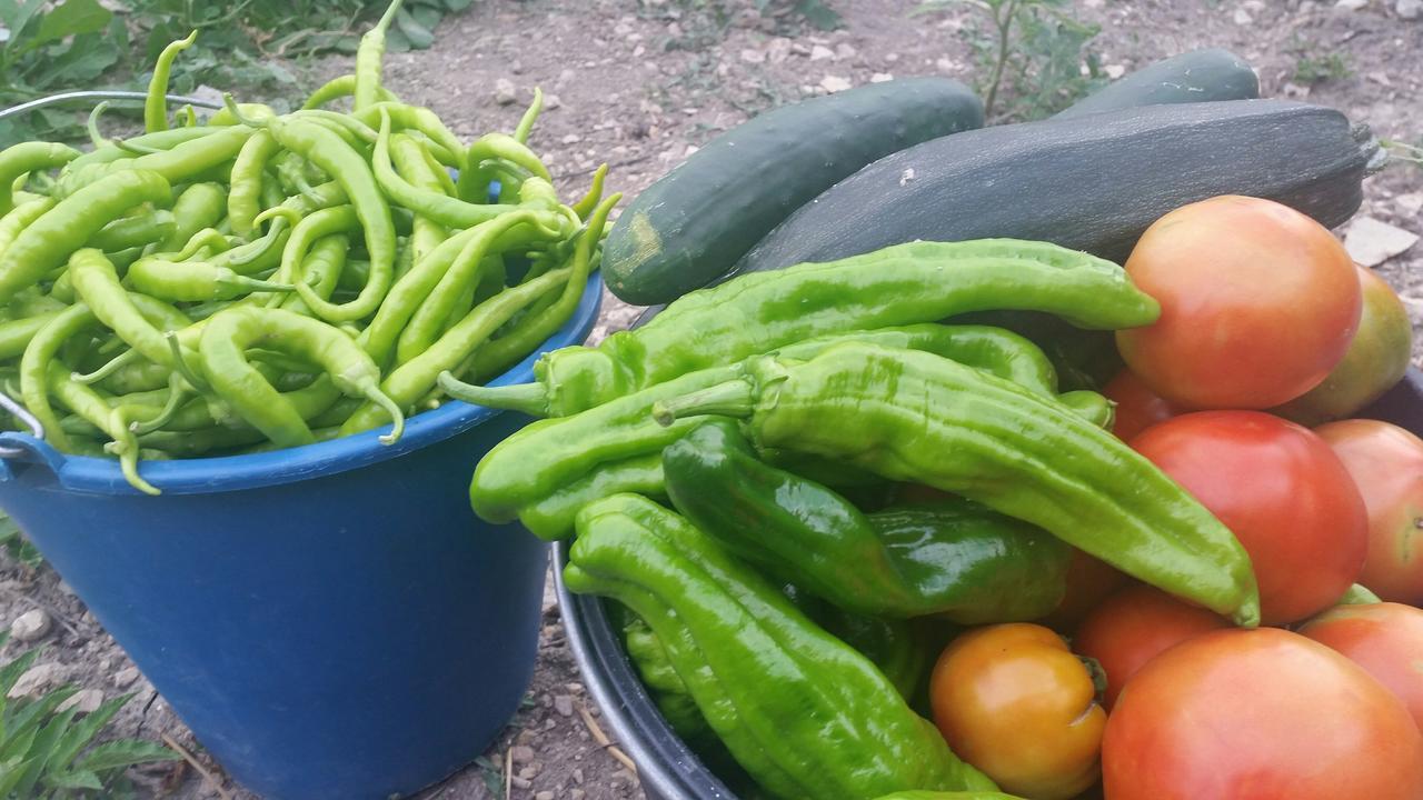 Muneta Casa Rural Basaula מראה חיצוני תמונה